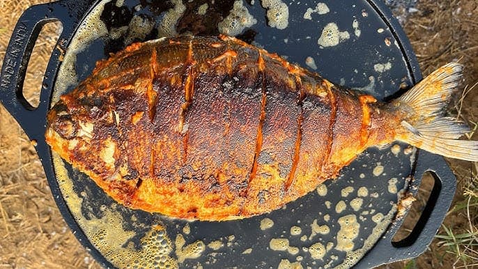 OCEAN PULLINGO (FISH)